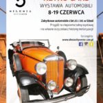 Tam, gdzie motoryzacja miesza się z modą, czyli wystawa Retro Cars w SCC