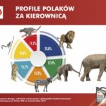 Drogowa dżungla, czyli Polak za kierownicą