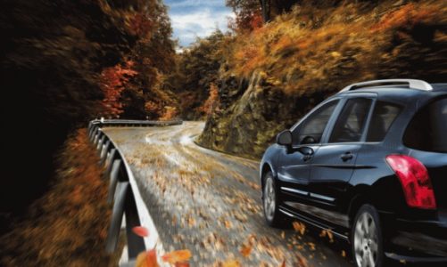 Bezpieczny powrót do szkoły