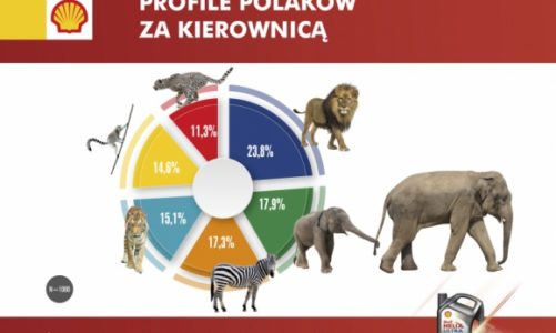 Drogowa dżungla, czyli Polak za kierownicą